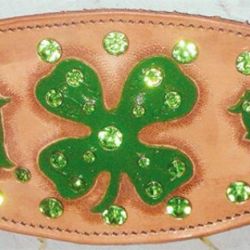 Shamrock-Rodeo.jpg